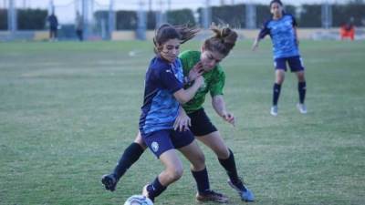 اتحاد الكرة يسمح بحضور 50 فردا فى نهائى كأس مصر للكرة النسائية