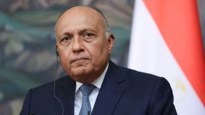 سامح شكري يؤكد أهمية التعامل مع النزاع في السودان باعتباره شأنا داخليا