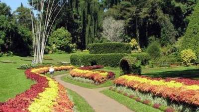 مدير الحديقة النباتية بأسوان: 3800 زائر لجزيرة النباتات خلال عيد الفطر