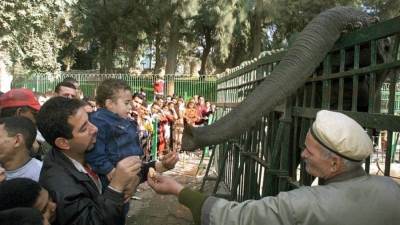 إقبال كبير من المواطنين على حديقة الحيوان فى رابع أيام العيد