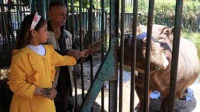 450 ألف زائر لحديقة الحيوان بالجيزة فى عيد الفطر