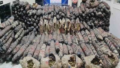 ضبط طن ونص من مخدر البانجو قبل ترويجه بالإسماعيلية