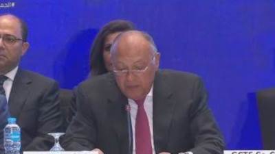 وزير الخارجية يشيد بتضحيات القوات المسلحة والشرطة فى الحرب ضد الإرهاب