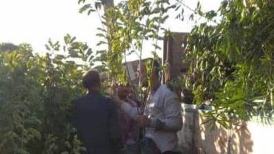 وزير الزراعة: الانتهاء من المرحلة الأولى لمبادرة زراعة 100 مليون شجرة