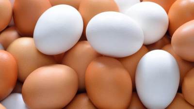 منتجي الدواجن: تراجع كبير في أسعار البيض.. والطبق يسجل 88 جنيها