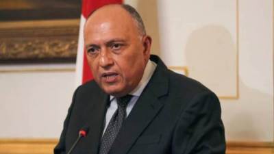 وزير الخارجية يكشف تفاصيل رسالة الرئيس السيسي لتشاد وجنوب السودان 