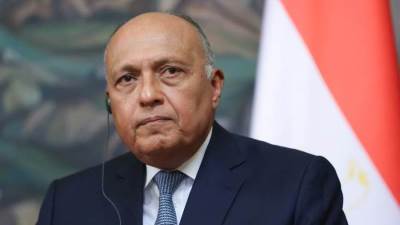 سامح شكري: الأزمة السورية قضية عربية وتحدثت مع الأسد عن عودة النازحين