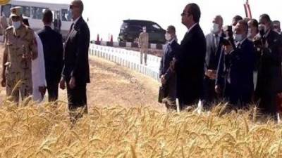 بدء فعاليات افتتاح موسم حصاد القمح بحضور الرئيس السيسي
