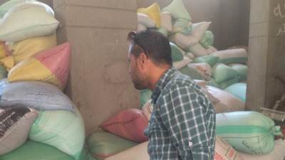 تموين الدقهلية تم ضبط 105 قمح محلى قبل استخدامه فى غير الاغراض المخصصة له