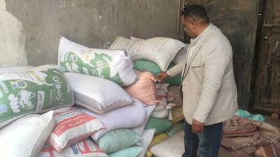 التموين تضبط 30 طن قمح محلى قبل تهريبها ببنى سويف وإحالة الواقعة للنيابة العامة