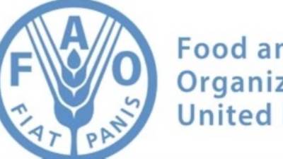 منظمة الأغذية والزراعة: 34.7 % من سكان شمال إفريقيا يعانون انعدام أمن غذائى معتدل