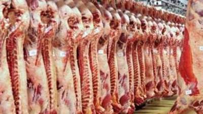 متحدث الزراعة: توفير اللحوم البلدية بمنافذ الوزارة بسعر 225 جنيها