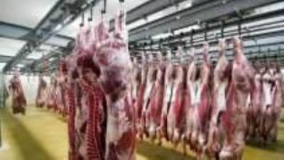 التموين: لدينا مخزون كاف من اللحوم بأسعار مناسبة قبل عيد الأضحى المبارك