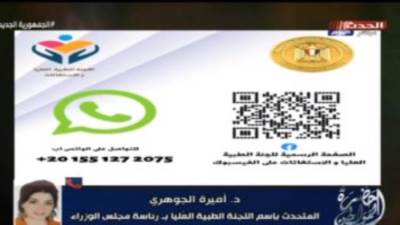 اللجنة الطبية بمجلس الوزراء: نقدم الخدمات للمواطن مجانا وفى كافة التخصصات