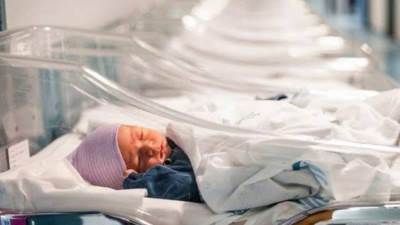 الإحصاء: جهود الدولة تنجح فى خفض أعداد المواليد آخر 5 سنوات