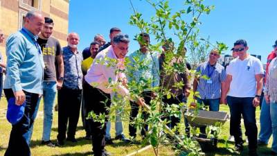 جهاز المنصورة الجديدة وسكان المدينة يشاركون في احتفالية اليوم العالمي للبيئة بزراعة الأشجار