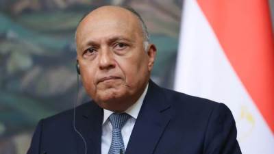 غدا.. وزير الخارجية يستقبل جوزيب بوريل