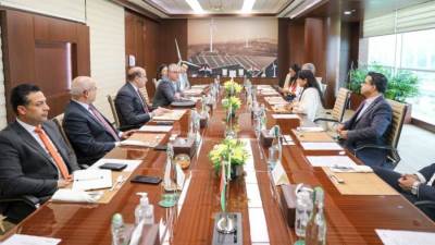 رينيو باور الهندية: استثمارات 8 مليار دولار للشركة داخل السخنة ومصر