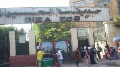 توزيع 8 الاف كيس وشنطه بلاستيكية علي رواد الحدائق