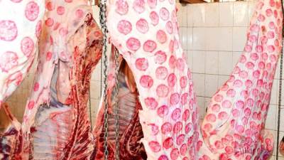 استمرار تجهيز لحوم أضاحي الأوقاف استعدادًا لتوزيعها بدءًا من الاثنين القادم