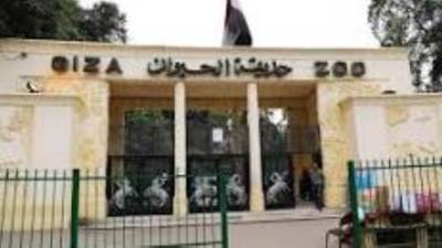 الحكومة تنفي تجريف الأشجار النادرة بحديقة الحيوان بالجيزة