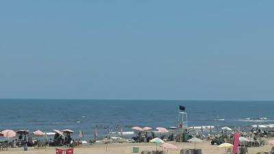 رئيس جهاز"دمياط الجديدة" يتفقد أعمال التطوير الخاصة بمنطقة الشاطىء وكورنيش المدينة