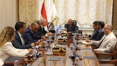 وزير قطاع الأعمال يبحث مع تحالف مصري فرنسي إنشاء محطتي طاقة شمسية