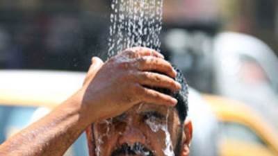 الزراعة: انخفاض درجات الحرارة بداية من الغد