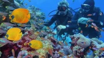 مطار مرسى علم يستقبل 32 رحلة سياحية من أوروبا..التشيك وإيطاليا الأكثر وصولا