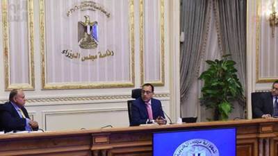 الحكومة: نجاح برنامج إنتاج التقاوى فى تقليل الفجوة بين المستورد والمحلى