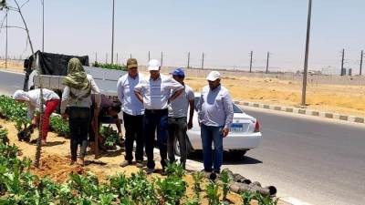 "الإسكان": استكمال تطوير الطرق ومداخل مدينة بدر ضمن خطة شاملة