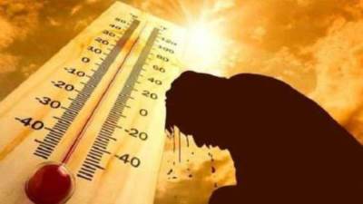 الأرصاد: غدا طقس حار رطب نهارا مائل للحرارة ليلا والعظمى بالقاهرة 33