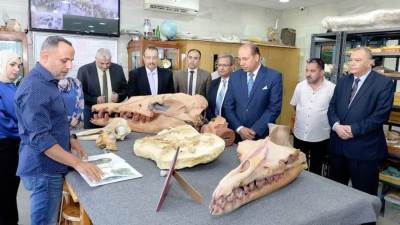 جامعة المنصورة تحيي الذكرى المئوية لاكتشاف مقبرة توت عنخ آمون باكتشاف حفري لنوع جديد من الحيتان