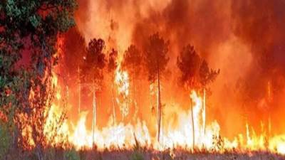 فرنسا: السيطرة على حريق هائل دمر نحو 500 هكتار من الغابات بالجنوب