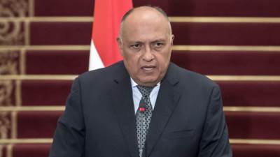 شكري: ضرورة تكاتف المجتمع الدولي لمواجهة ظاهرة الارهاب في سوريا 