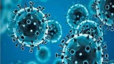 عضو لجنة مكافحة الفيروسات: مصر خالية من متحور إيريس