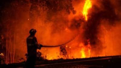 طوارئ فى واشنطن بعد حريق هائل أسفر عن مقتل شخص وتدمير أكثر من 185 مبنى