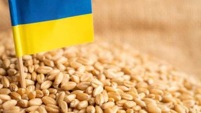 زيلينسكي يطلب من الاتحاد الأوروبيي إنهاء الحظر على مشتريات الحبوب