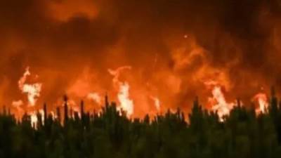 حرائق الغابات تدمر نحو 200 منزل بالغرب الكندي