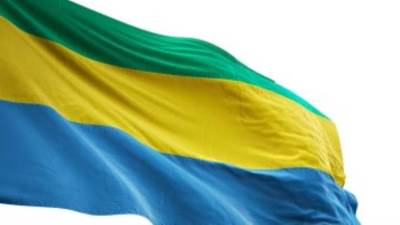 أ ش أ: سماع دوى إطلاق نار فى ليبرفيل الجابونية وعسكريون يعلنون حل المؤسسات