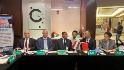 إشادة صينية بجهود مصر التنموية ومكانتها الدولية فى الشرق الأوسط وأفريقيا