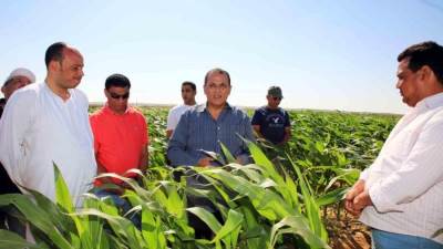 تنمية الريف: المزيد من الدعم والخدمات والتيسيرات لفلاحى ومزارعى مشروع الـ1.5 مليون فدان