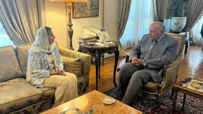 شكري يؤكد للمديرة التنفيذية على الأهمية التي توليها مصر لملف تعزيز حقوق المرأة وتمكينها