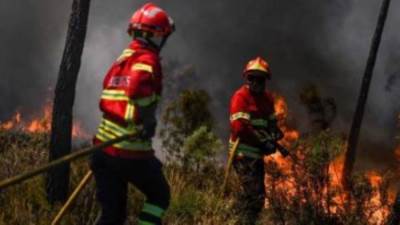 حرائق الجزائر.. الحماية المدنية تتمكن من إخماد حريق فى ولاية جيجل