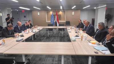 "شكري" يلتقي نائب رئيس الوزراء ووزير الخارجية والدفاع الأيرلندي