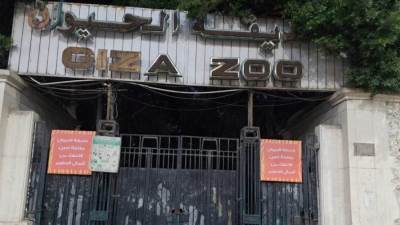 رسميا بدء تنفيذ مخطط تطوير حديقتي الحيوان والأورمان