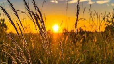 غدا.. بدء فصل الخريف فلكيًا 