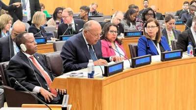 شكري: أفضل سبيل للوقاية من النزاعات وبناء السلام هو التنفيذ الأمين لأجندة التنمية المستدامة