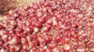 الحكومة تعلن وقف قرار حظر تصدير البصل