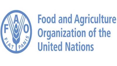 "الفاو" تختار مصر لإطلاق برنامج الصحة النباتية الأفريقية